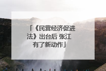 《民营经济促进法》出台后 张江有了新动作