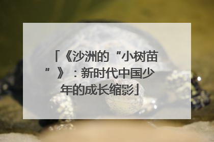《沙洲的“小树苗”》：新时代中国少年的成长缩影