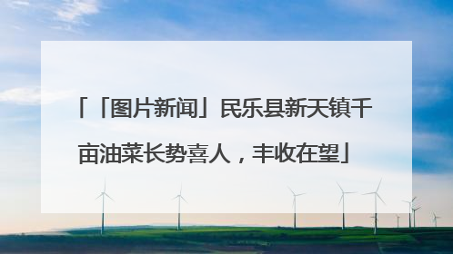 「图片新闻」民乐县新天镇千亩油菜长势喜人，丰收在望