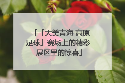 「大美青海 高原足球」赛场上的精彩 展区里的惊喜