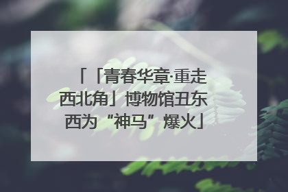 「青春华章·重走西北角」博物馆丑东西为“神马”爆火