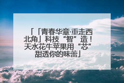 「青春华章·重走西北角」科技“智”造！天水花牛苹果用“芯”甜透你的味蕾
