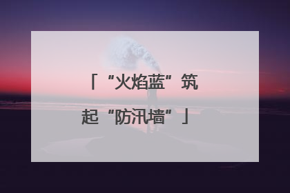 “火焰蓝”筑起“防汛墙”