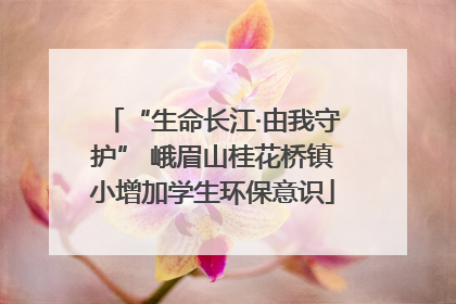 “生命长江·由我守护” 峨眉山桂花桥镇小增加学生环保意识