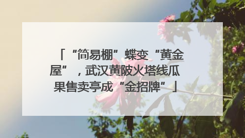 “简易棚”蝶变“黄金屋”，武汉黄陂火塔线瓜果售卖亭成“金招牌”