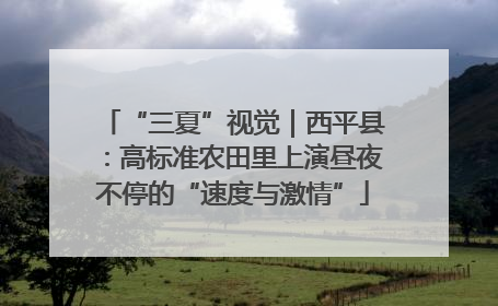 “三夏”视觉｜西平县：高标准农田里上演昼夜不停的“速度与激情”