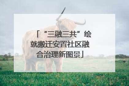 “三融三共”绘就搬迁安置社区融合治理新图景