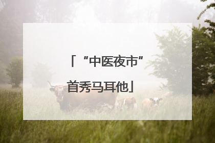 “中医夜市”首秀马耳他