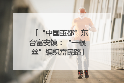 “中国茧都”东台富安镇：“一根丝”编织富民路