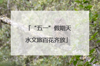 “五一”假期天水文旅百花齐放