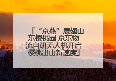 “京燕”展翅山东樱桃园 京东物流自研无人机开启樱桃出山新速度