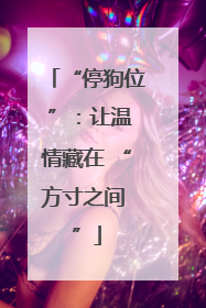 “停狗位 ”：让温情藏在 “方寸之间 ”