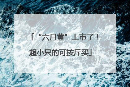 “六月黄”上市了！超小只的可按斤买