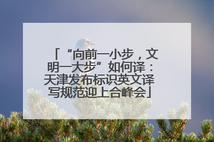 “向前一小步，文明一大步”如何译：天津发布标识英文译写规范迎上合峰会