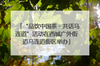 “品饮中国茶・共话马连道”活动在西城广外街道马连道街区举办