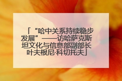 “哈中关系持续稳步发展”——访哈萨克斯坦文化与信息部副部长叶夫根尼·科切托夫