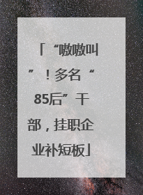 “嗷嗷叫”！多名“85后”干部，挂职企业补短板