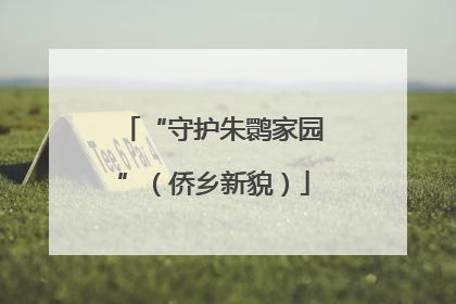 “守护朱鹮家园”（侨乡新貌）