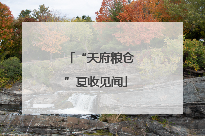 “天府粮仓”夏收见闻