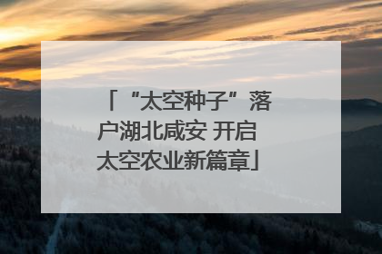 “太空种子”落户湖北咸安 开启太空农业新篇章