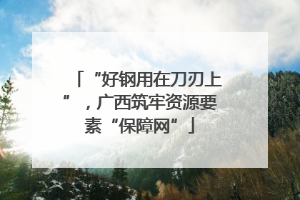 “好钢用在刀刃上”，广西筑牢资源要素“保障网”