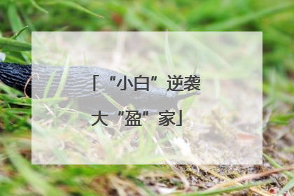 “小白”逆袭大“盈”家