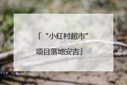 “小红村超市”项目落地安吉
