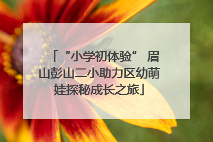 “小学初体验” 眉山彭山二小助力区幼萌娃探秘成长之旅