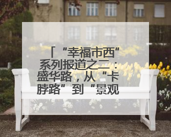 “幸福市西”系列报道之二：盛华路，从“卡脖路”到“景观大道”的华丽转身