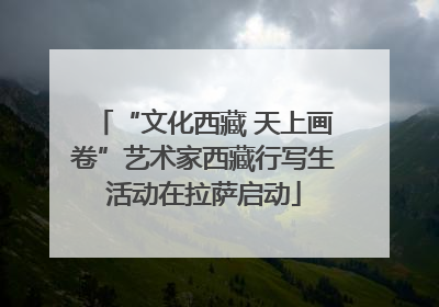 “文化西藏 天上画卷”艺术家西藏行写生活动在拉萨启动