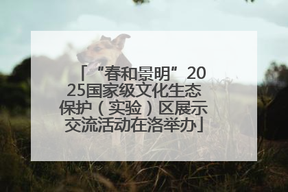 “春和景明”2025国家级文化生态保护（实验）区展示交流活动在洛举办