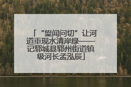 “望闻问切”让河道重现水清岸绿——记郓城县郓州街道镇级河长孟泓辰