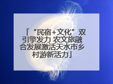 “民宿+文化”双引擎发力 农文旅融合发展激活天水市乡村游新活力