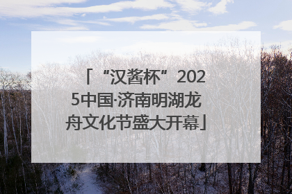 “汉酱杯”2025中国·济南明湖龙舟文化节盛大开幕