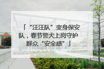 “汪汪队”变身保安队，春节警犬上岗守护群众“安全感”