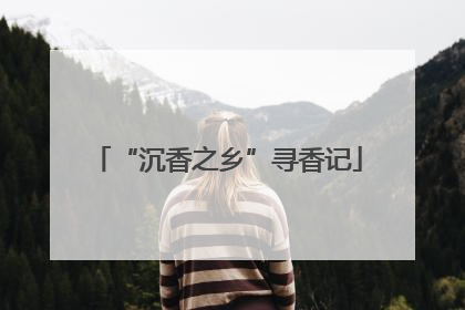“沉香之乡”寻香记