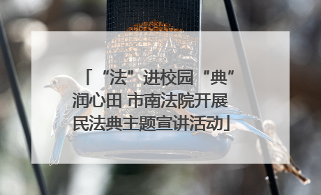 “法”进校园“典”润心田 市南法院开展民法典主题宣讲活动
