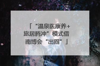 “温泉医康养+旅居腾冲”模式借南博会“出圈”