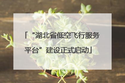 “湖北省低空飞行服务平台”建设正式启动