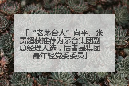 “老茅台人”向平、张贵超获推荐为茅台集团副总经理人选，后者是集团最年轻党委委员