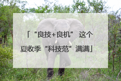 “良技+良机” 这个夏收季“科技范”满满