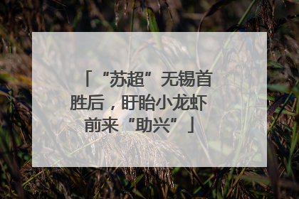 “苏超”无锡首胜后，盱眙小龙虾前来“助兴”