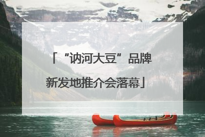 “讷河大豆”品牌新发地推介会落幕