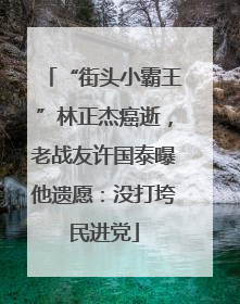 “街头小霸王”林正杰癌逝，老战友许国泰曝他遗愿：没打垮民进党