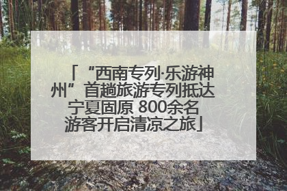 “西南专列·乐游神州”首趟旅游专列抵达宁夏固原 800余名游客开启清凉之旅