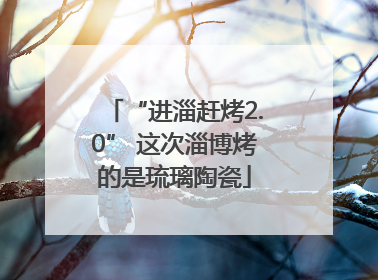 “进淄赶烤2.0” 这次淄博烤的是琉璃陶瓷