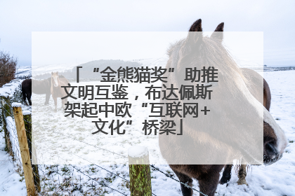 “金熊猫奖”助推文明互鉴，布达佩斯架起中欧“互联网+文化”桥梁
