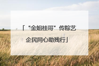 “金姐桂哥”传粽艺 企民同心助残行