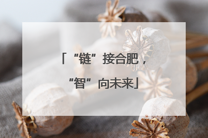 “链”接合肥，“智”向未来