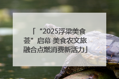 “2025浮梁美食荟”启幕 美食农文旅融合点燃消费新活力
